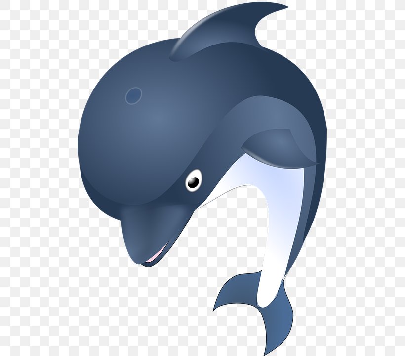 Dolphin Euclidean Vector Clip Art, PNG, 505x720px, Dolphin, Bicycle Helmet, Headgear, Helmet, Mammal Download Free