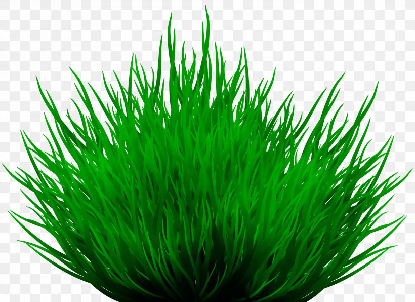 Green Grass Background, PNG, 3000x2183px, Watercolor, Art, Bothan, Cactus, Cartoon Download Free