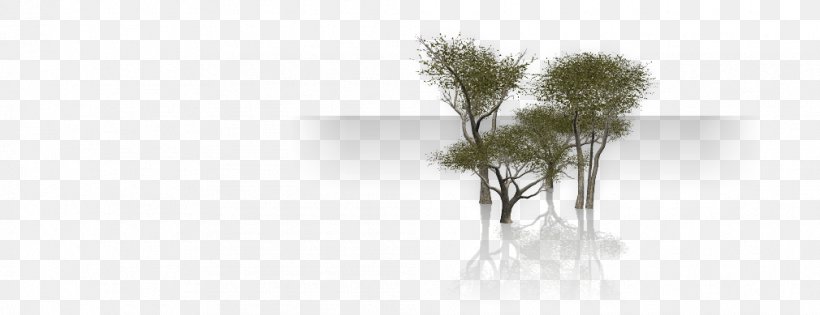 Line, PNG, 1010x389px, Tree, Branch, Grass, Plant Download Free