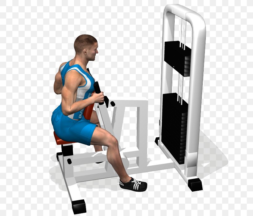 Shoulder Upright Row Fitness Centre Latissimus Dorsi Muscle, PNG, 700x700px, Watercolor, Cartoon, Flower, Frame, Heart Download Free