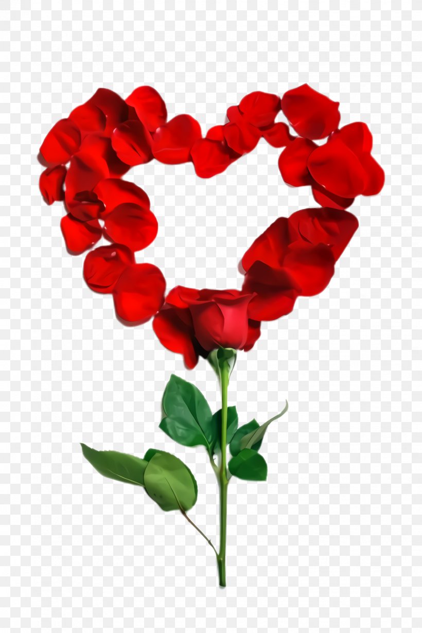 Valentine's Day, PNG, 1632x2448px, Red, Artificial Flower, Cut Flowers, Flower, Heart Download Free