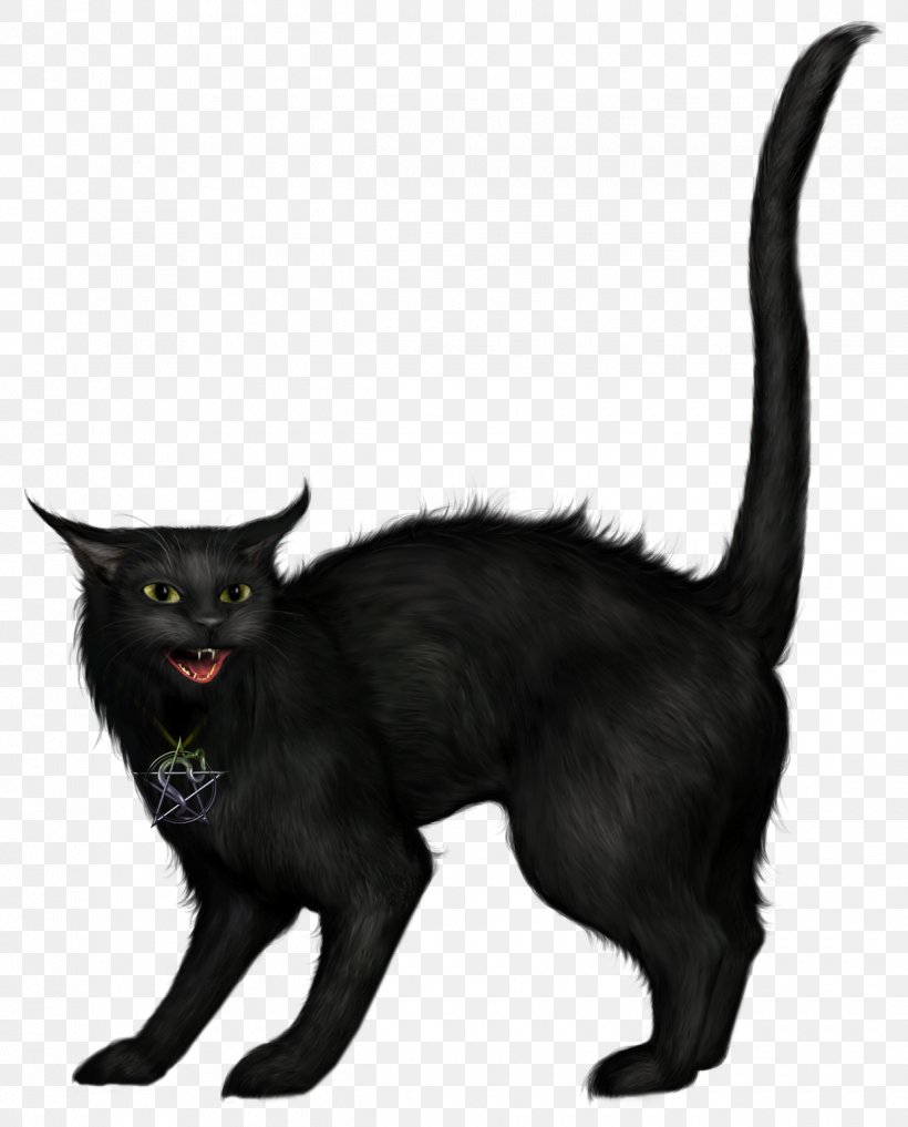 Black Cat Halloween Clip Art, PNG, 1240x1538px, Cat, Black Cat, Bombay, Carnivoran, Cat Like Mammal Download Free