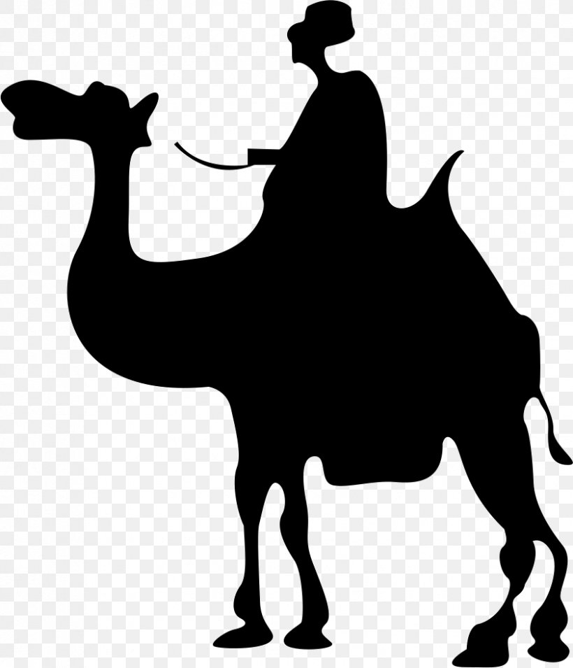 Camel Silhouette, PNG, 842x981px, Camel, Black And White, Camel Like Mammal, Desert, Drawing Download Free