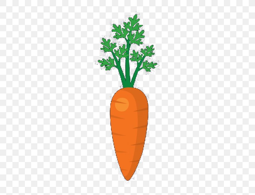 Carrot Vegetable Chinese Cabbage, PNG, 626x626px, Carrot, Chinese Cabbage, Cucumber, Daucus Carota, Flowerpot Download Free
