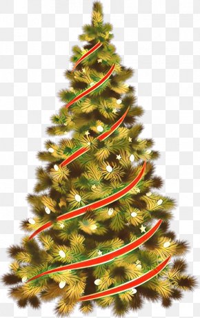 Christmas Ornament Christmas Tree Spruce Christmas Decoration Fir, PNG ...