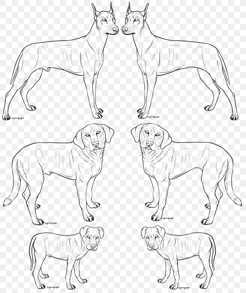 Dog Breed Art Dobermann Painting Sketch, PNG, 820x975px, Dog Breed, Animal, Animal Figure, Art, Artist Download Free