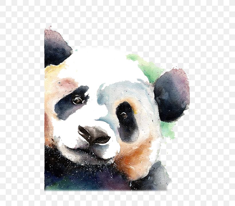 Giant Panda Bear Watercolor Painting Drawing, PNG, 564x719px, Giant Panda, Animal, Art, Bear, Carnivoran Download Free