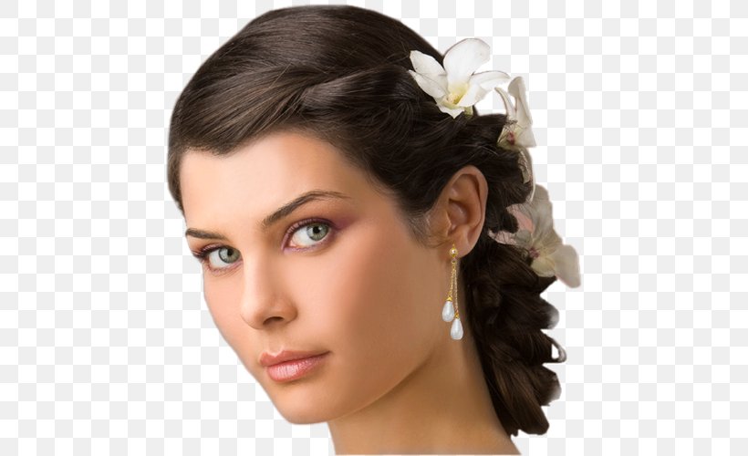 Hairstyle Italy Capelli Miss Italia 2009, PNG, 500x500px, Hairstyle, Beauty, Black Hair, Bride, Brown Hair Download Free