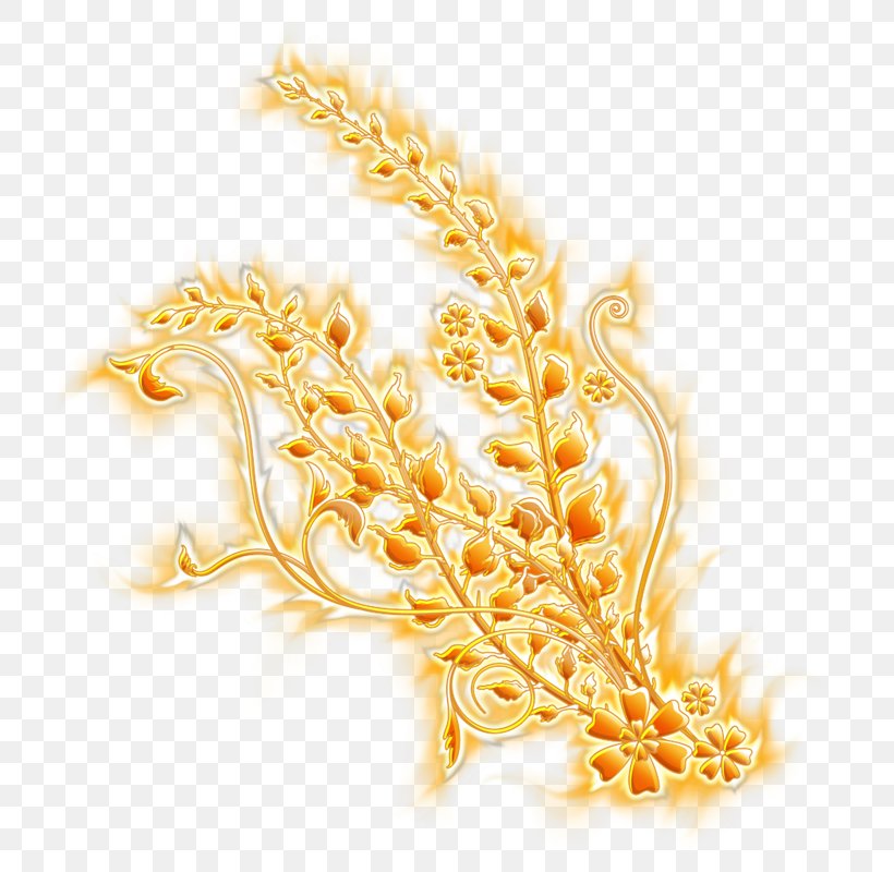Ornament Blog, PNG, 800x800px, Ornament, Blog, Color, Commodity, Gold Download Free