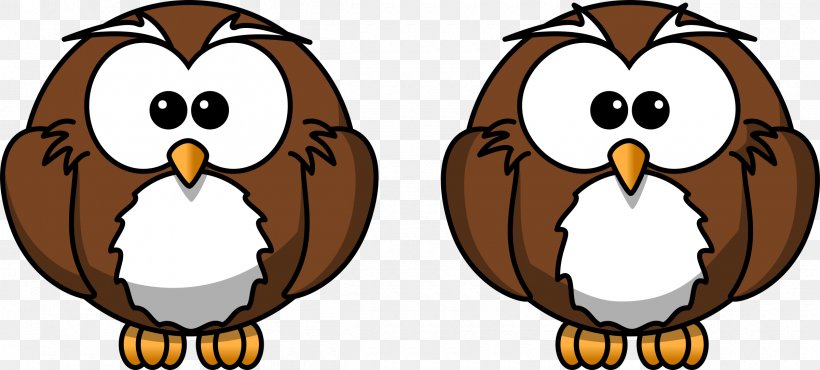 Owl Cartoon Drawing Clip Art, PNG, 2400x1084px, Owl, Animation, Art, Barn Owl, Beak Download Free