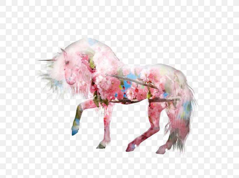 Unicorn Pink M RTV Pink Snout Yonni Meyer, PNG, 610x610px, Unicorn, Fictional Character, Horse, Horse Like Mammal, Mythical Creature Download Free