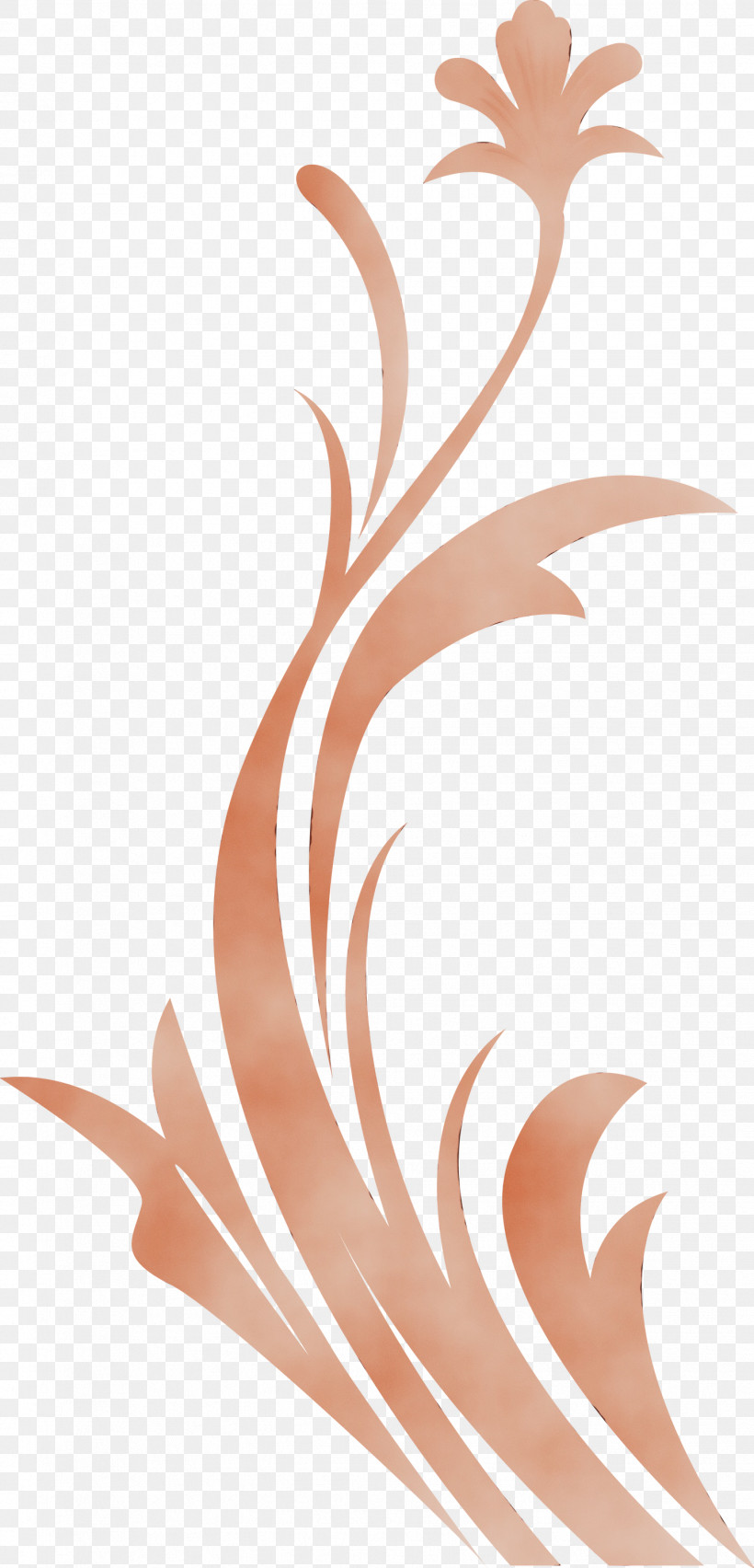 Brown Peach Plant, PNG, 1443x3000px, Flower Frame, Brown, Decoration Frame, Floral Frame, Paint Download Free