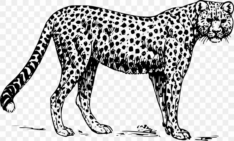 Cheetah Drawing Clip Art, PNG, 2400x1446px, Cheetah, Animal Figure, Big Cats, Black And White, Carnivoran Download Free