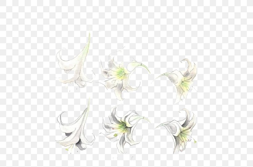 Floral Design Wedding Ceremony Supply Pattern, PNG, 618x542px, Floral Design, Ceremony, Flora, Floristry, Flower Download Free