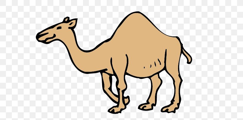 Dromedary Bactrian Camel Drawing Clip Art, PNG, 721x406px, Dromedary, Animal, Arabian Camel, Bactrian Camel, Camel Download Free
