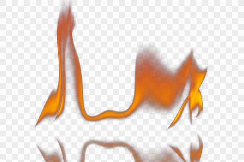 Flame Fire Combustion, PNG, 1000x667px, Flame, Adobe Fireworks, Beak, Candle, Combustion Download Free