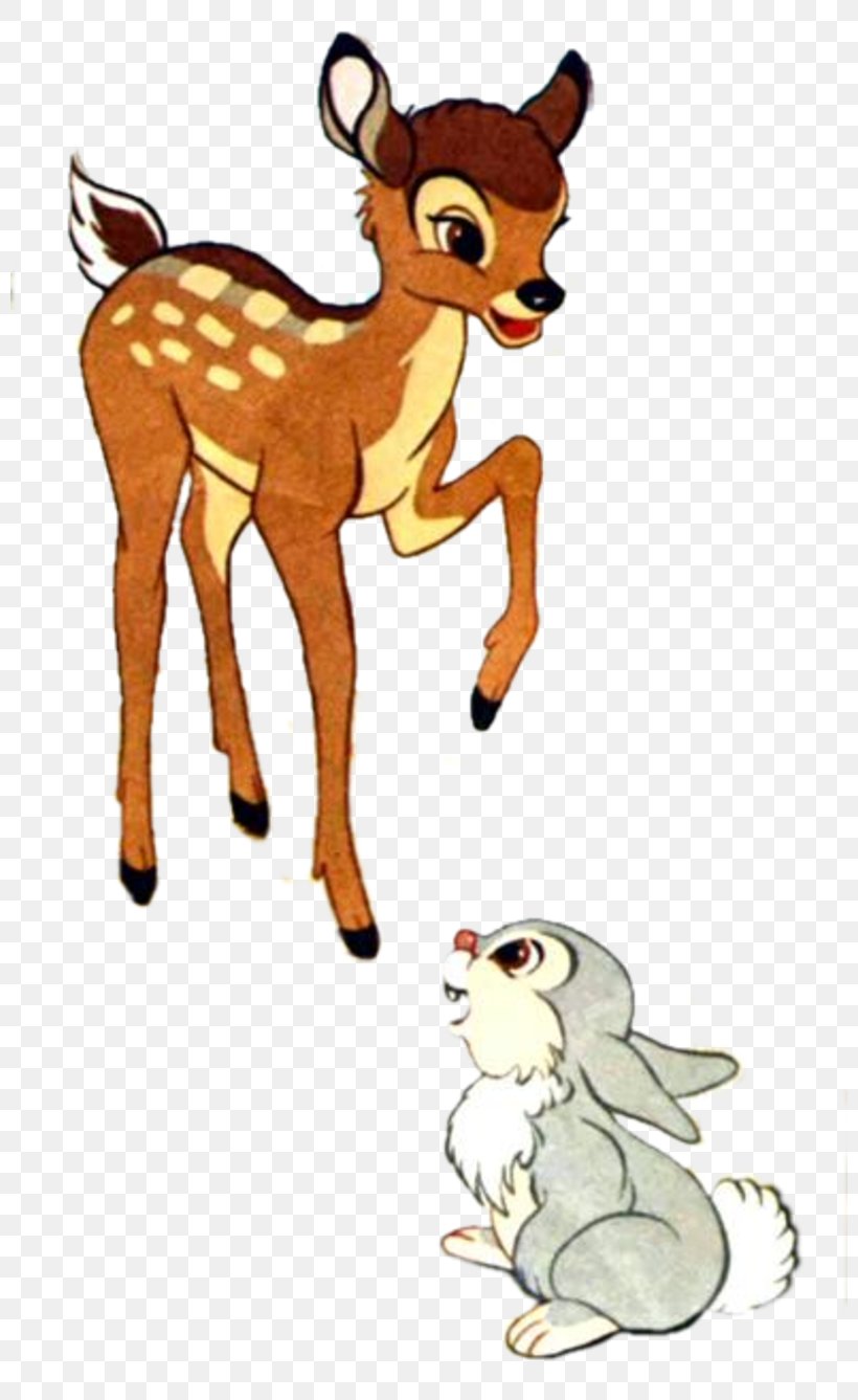 Red Fox Deer Macropodidae Cat Mammal, PNG, 800x1337px, Watercolor, Cartoon, Flower, Frame, Heart Download Free