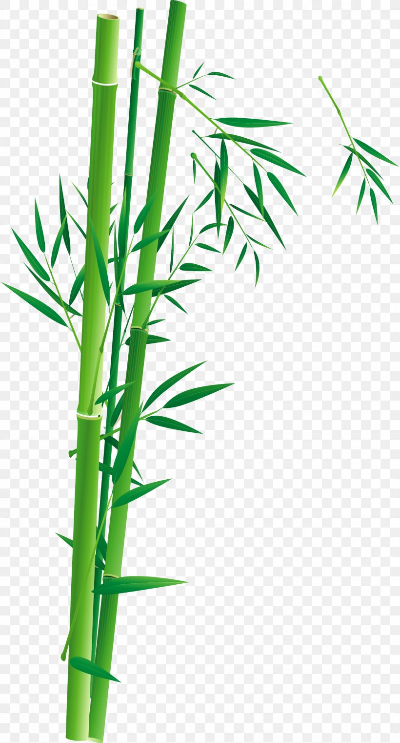 Bamboo Poster Bambusa Oldhamii Illustration, PNG, 1802x3343px, Bamboo, Advertising, Bamboo Blossom, Bambusa Oldhamii, Cartoon Download Free