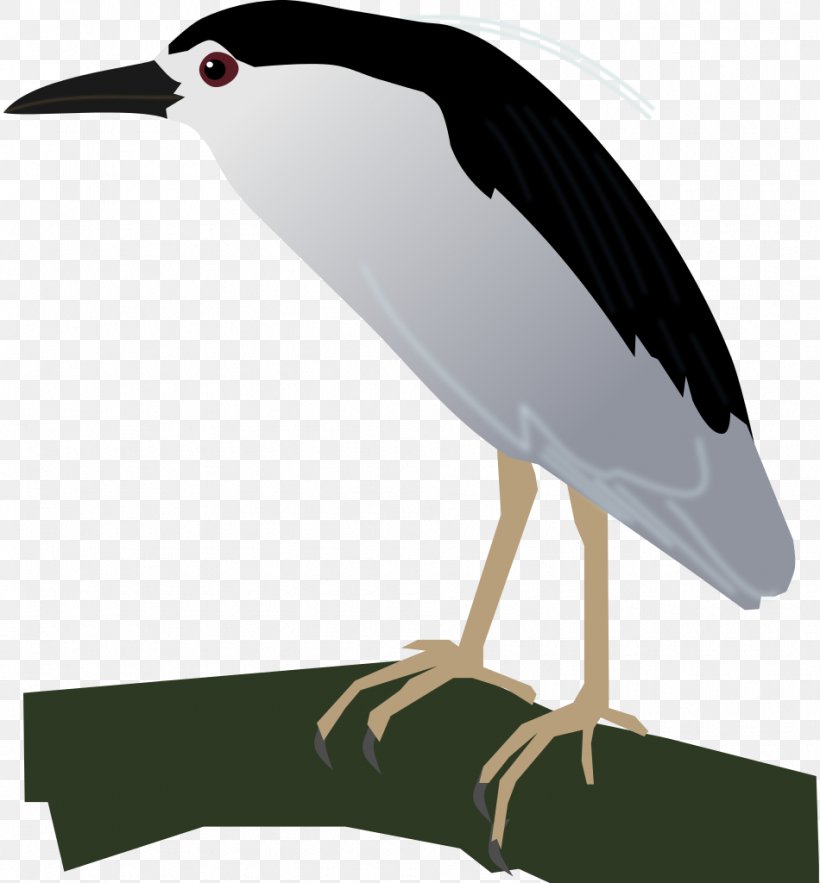 Black-crowned Night Heron Crane Bird Stork, PNG, 950x1024px, Heron, Beak, Bird, Blackcrowned Night Heron, Ciconiiformes Download Free