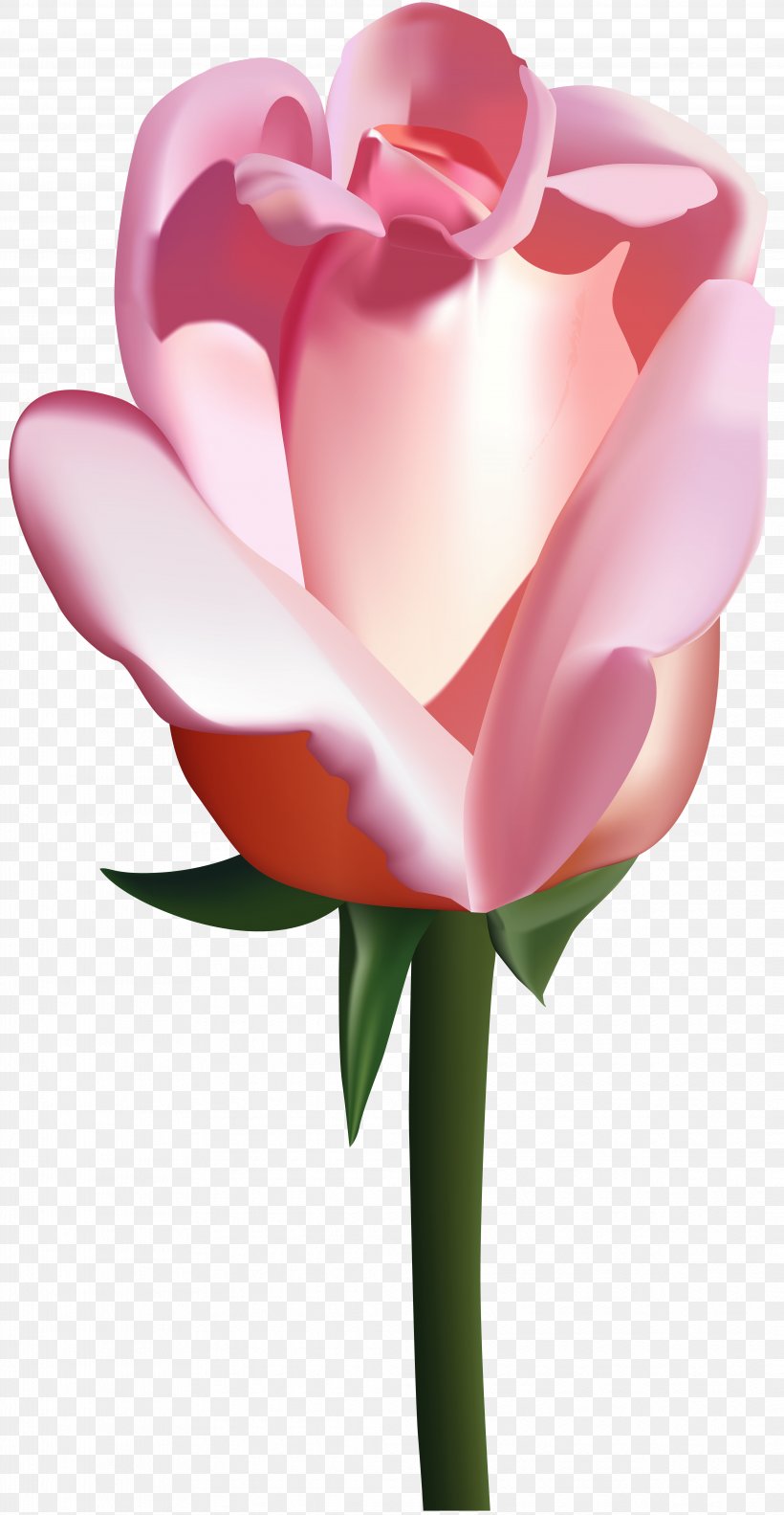 Garden Roses Clip Art, PNG, 4142x8000px, Rose, Blog, Cut Flowers, Floral Design, Floristry Download Free