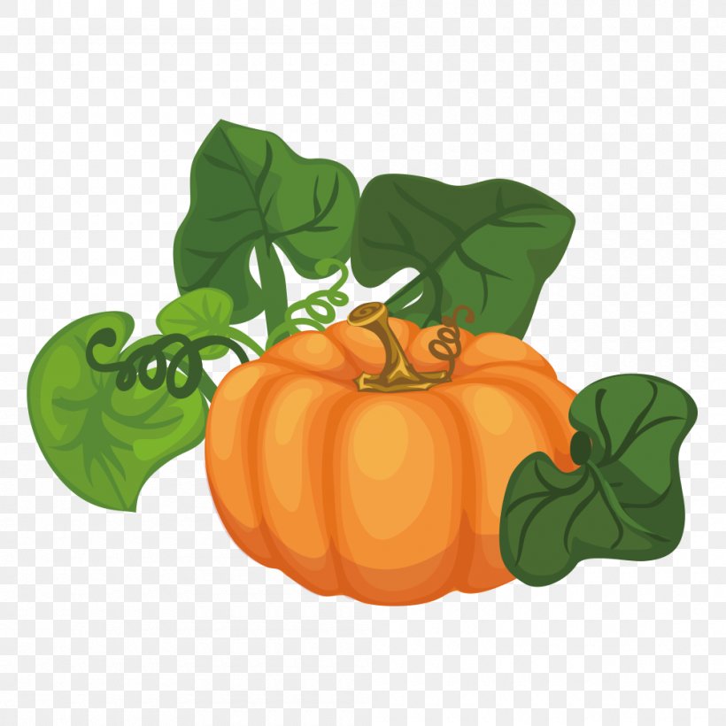 Pumpkin Calabaza Cucurbita Maxima Gourd Illustration, PNG, 1000x1000px, Pumpkin, Apple, Calabaza, Cucurbita, Cucurbita Maxima Download Free