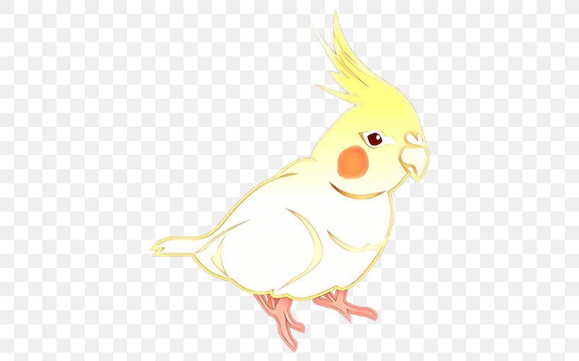 Bird Parrot, PNG, 512x512px, Cartoon, Beak, Bird, Character, Chicken Download Free