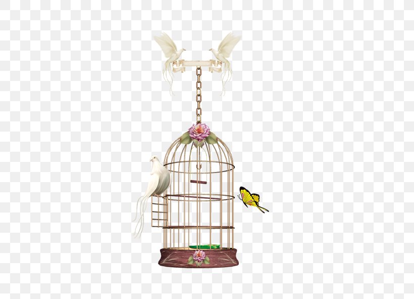 Birdcage Parrot, PNG, 591x591px, Bird, Basket, Birdcage, Cage, Parrot Download Free