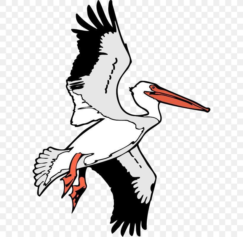 Flight Brown Pelican Clip Art, PNG, 600x800px, Flight, Arm, Art, Artwork, Beak Download Free