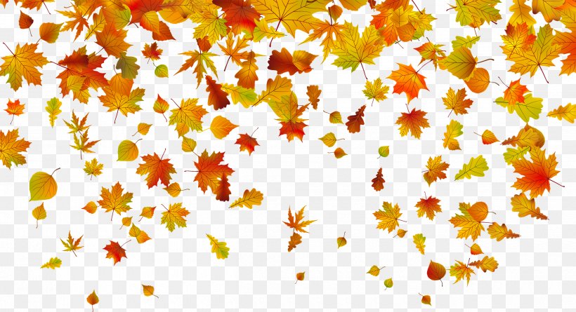 Autumn Leaf Color Clip Art, PNG, 2500x1359px, Autumn Leaf Color, Autumn, Branch, Color, Floral Design Download Free