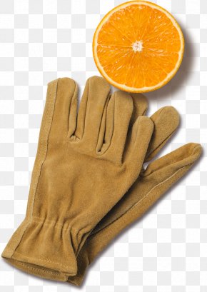 Juice - Orange Juice Florida's Natural Growers Ice Cream PNG