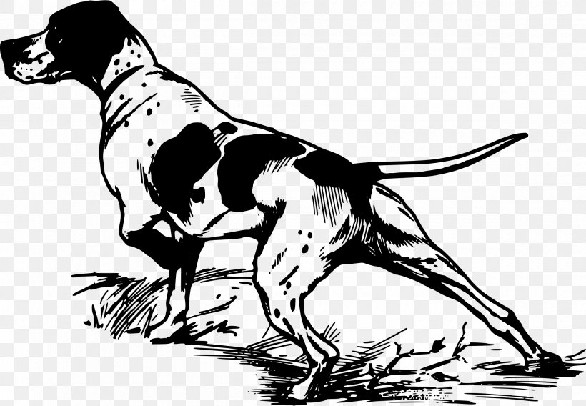 Pointer Greyhound Bird Dog Hunting Clip Art, PNG, 2400x1664px, Pointer, Art, Artwork, Bird, Bird Dog Download Free
