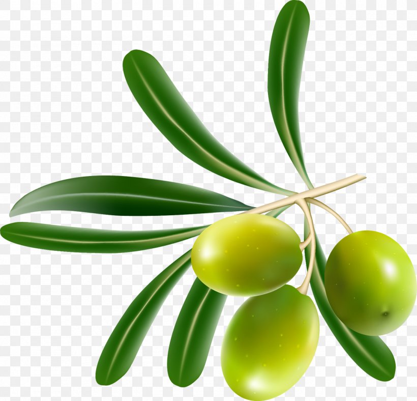 Tapenade Olive Leaf Food, PNG, 1500x1442px, Tapenade, Food, Fruit, Kalamata Olive, Mediterranean Cuisine Download Free
