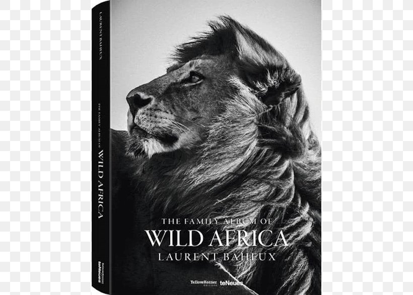 The Family Album Of Wild Africa, CE Album De Famille De L'Afrique Sauvage Photography Ice Is Black, PNG, 640x586px, Africa, Big Cats, Black And White, Book, Carnivoran Download Free