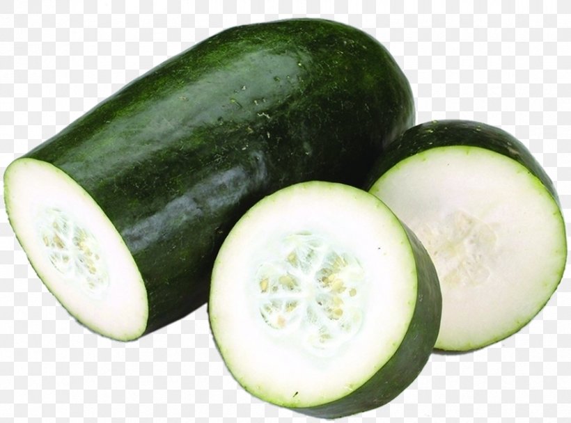 Wax Gourd Vegetable Food Seed, PNG, 875x649px, Wax Gourd, Carrot, Chinese Broccoli, Choy Sum, Cooking Download Free