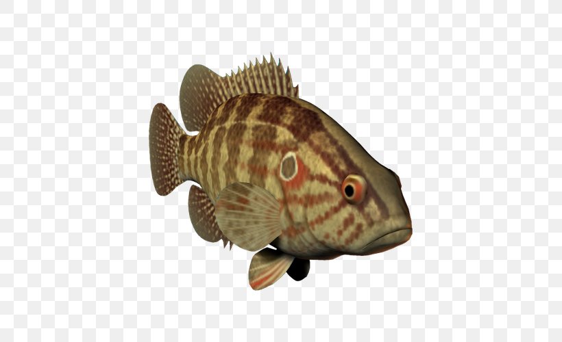Fish Three-dimensional Space Ocean, PNG, 600x500px, Fish, Animal, Data Compression, Fauna, Grouper Download Free