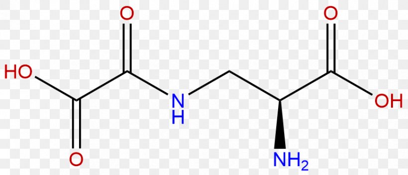 Gamma-L-Glutamyl-L-cysteine Glutamic Acid Glutathione Amino Acid, PNG, 867x374px, Cysteine, Amino Acid, Antioxidant, Area, Arginine Download Free
