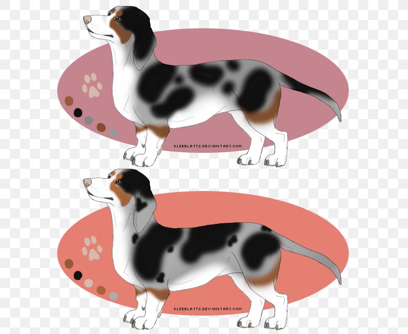 Dog Breed Beagle Companion Dog Tail, PNG, 608x673px, Dog Breed, Beagle, Breed, Carnivoran, Companion Dog Download Free