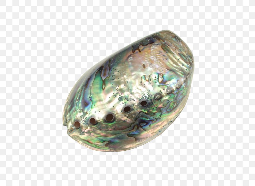 Gemstone Abalone Jewelry Design Jewellery, PNG, 600x600px, Gemstone, Abalone, Glass, Jewellery, Jewelry Design Download Free
