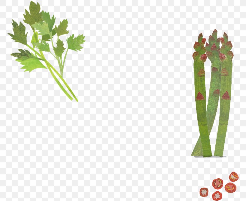 Leaf Vegetable Plant Stem Alternative Health Services Medicine Tree, PNG, 774x670px, Leaf Vegetable, Alternative Health Services, Food, Grass, Medicine Download Free