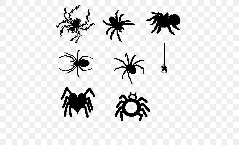 Spider Cartoon Black And White, PNG, 500x500px, Spider, Big Cartoon Database, Black, Black And White, Cartoon Download Free