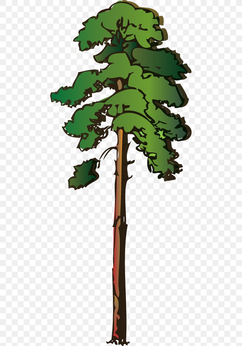 Tree Redwoods Giant Sequoia Clip Art, PNG, 479x1171px, Tree, Branch, Coast Redwood, Conifer, Drawing Download Free