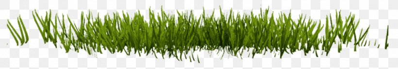 Lawn Desktop Wallpaper Clip Art, PNG, 1280x224px, 3d Computer Graphics, Lawn, Chrysopogon Zizanioides, Grass, Grass Family Download Free