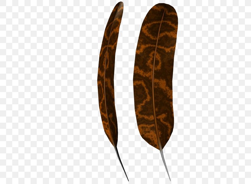 Leaf, PNG, 600x600px, Leaf, Feather Download Free