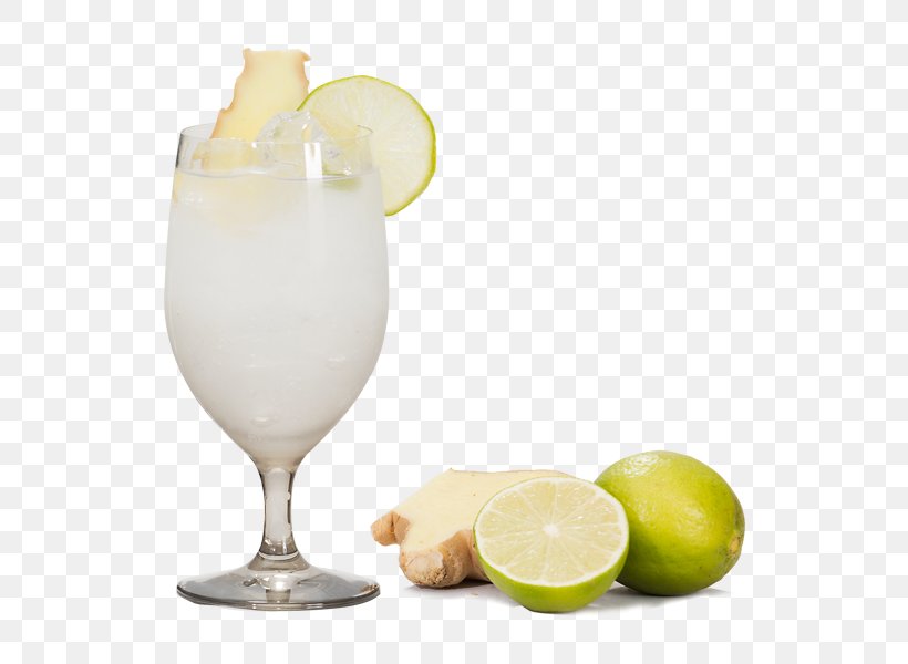 Lemon Juice Limeade Cocktail Lemonade, PNG, 600x600px, Lemon Juice, Batida, Citric Acid, Cocktail, Cocktail Garnish Download Free