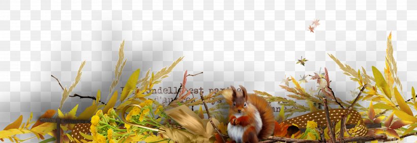 Squirrel Illustration, PNG, 3600x1237px, Squirrel, Black And White, Bordure, Computer, Floral Design Download Free