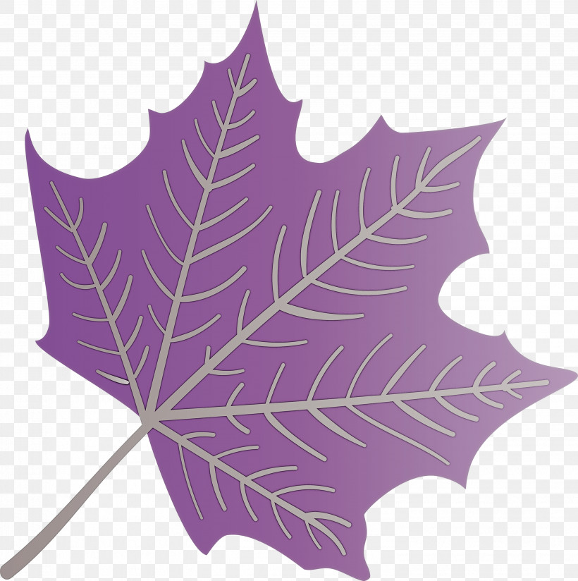 Autumn Leaf Colourful Foliage Colorful Leaves, PNG, 2984x3000px, Autumn Leaf, Cartoon, Color, Colorful Leaf, Colorful Leaves Download Free
