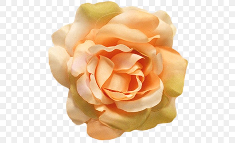 Centifolia Roses Flower Petal Garden Roses, PNG, 500x500px, Centifolia Roses, Artificial Flower, Color, Cut Flowers, Dress Download Free