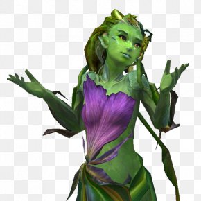 Guild Wars 2 ArenaNet Wiki Screenshot PNG