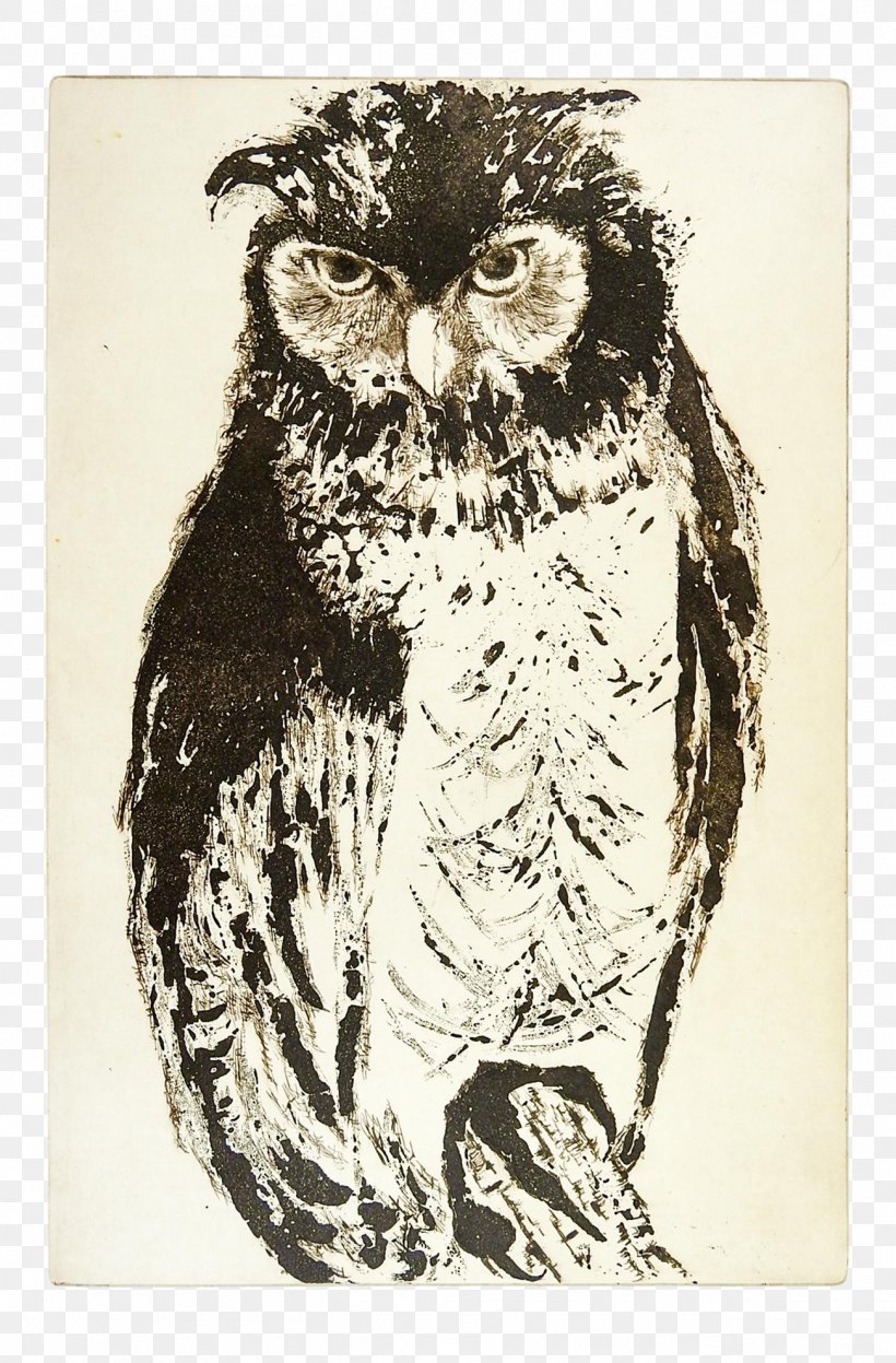 Owl Cartoon, PNG, 1301x1980px, Owl, Bird, Bird Of Prey, Drawing, Drypoint Download Free