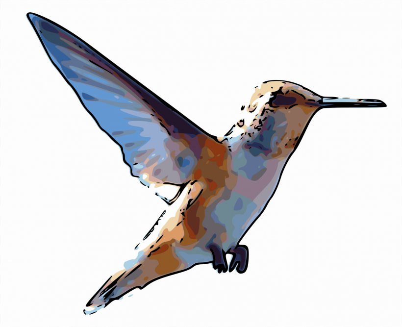 Rufous Hummingbird Clip Art, PNG, 1506x1226px, Hummingbird, Animal, Beak, Bird, Blanket Download Free